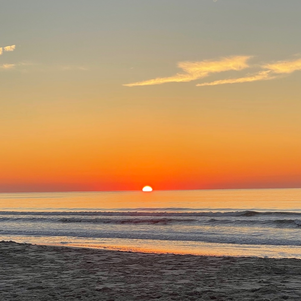 Meet your Posher, Danielle a.